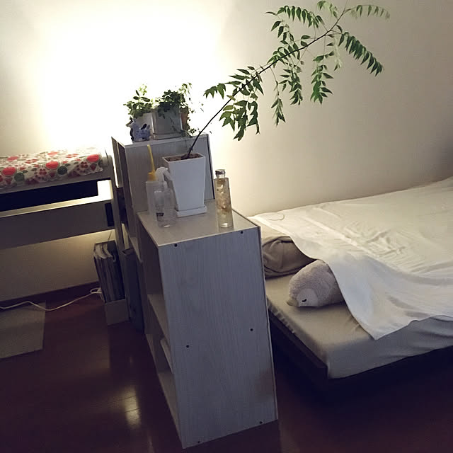dedenshaさんの実例写真