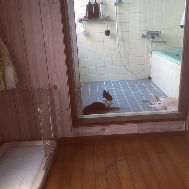 88さんの実例写真