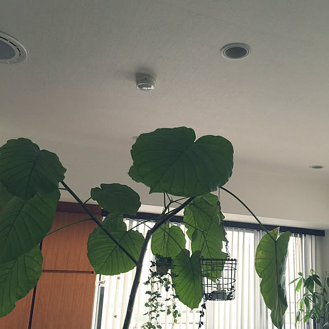 HKSさんの実例写真