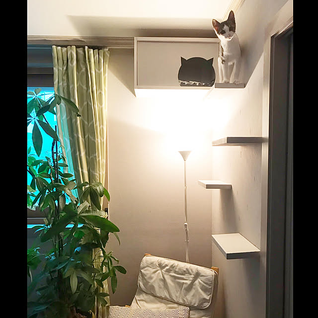 Cooさんの実例写真