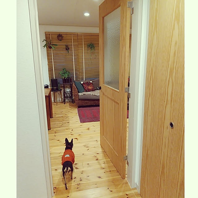 rieさんの実例写真