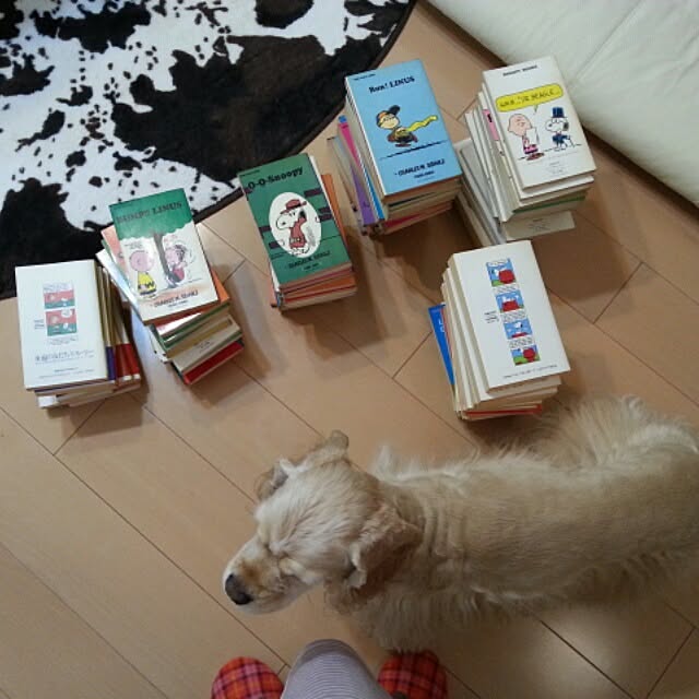 evetamaさんの実例写真