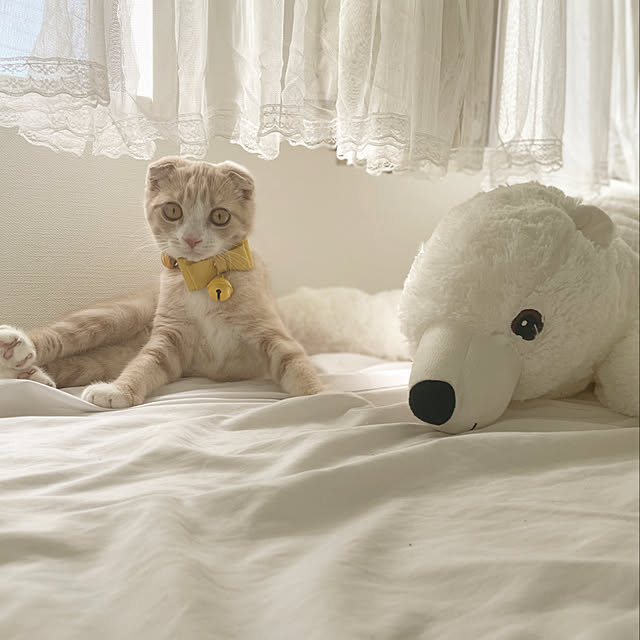 riyucoさんの実例写真