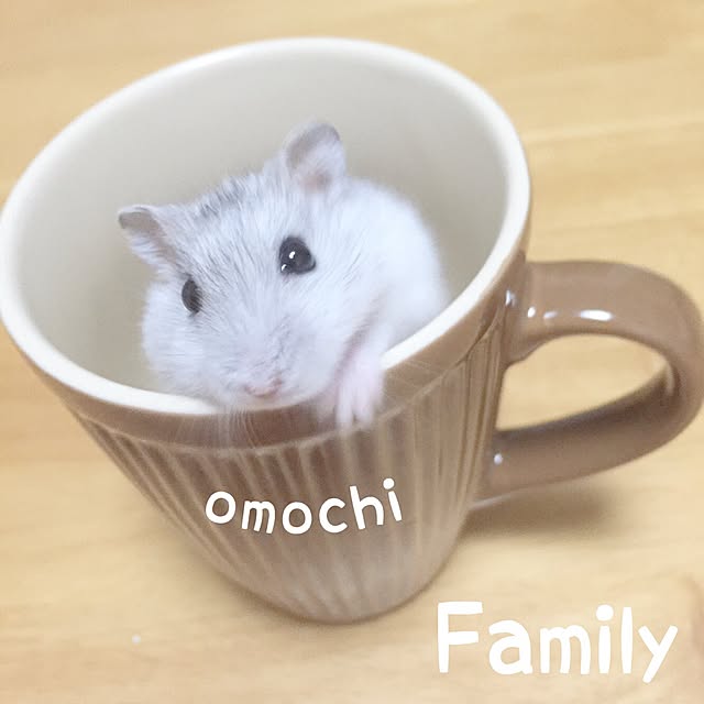 Minoriさんの実例写真