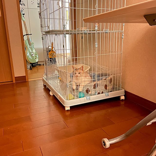 hansho.sさんの実例写真