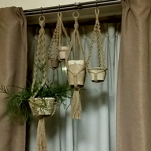 kakinotaneさんの実例写真