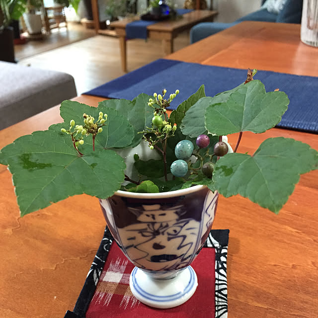 buchiさんの実例写真