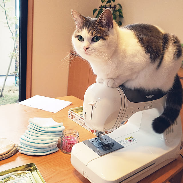sakuraさんの実例写真