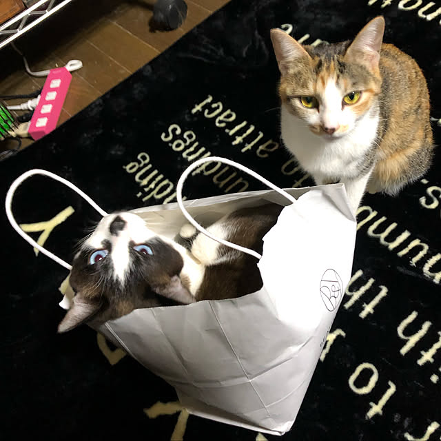 vivienne.coco-keiさんの実例写真