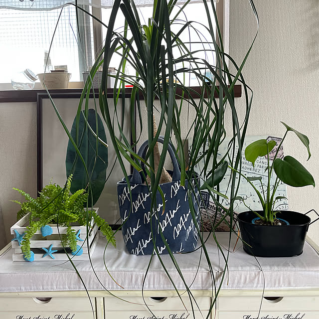 Kaorizmさんの実例写真