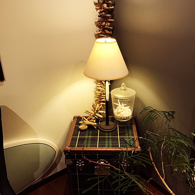 56tanさんの実例写真