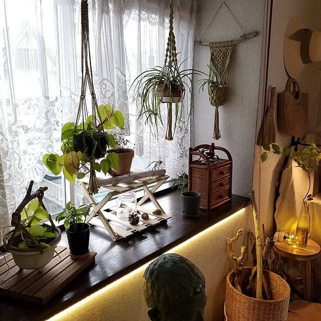 midoriさんの部屋