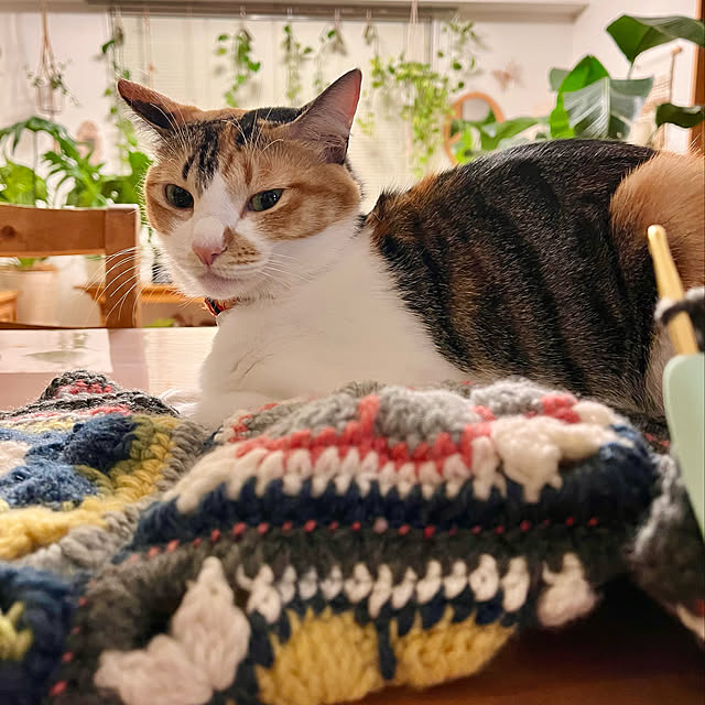 ochoriさんの実例写真
