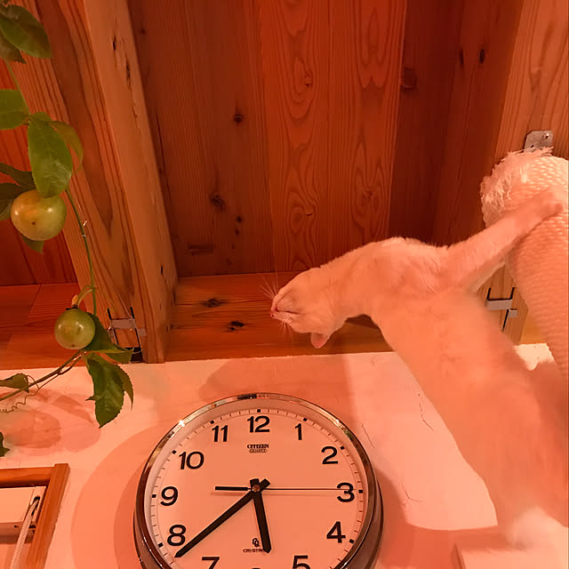 sakurasakuさんの実例写真