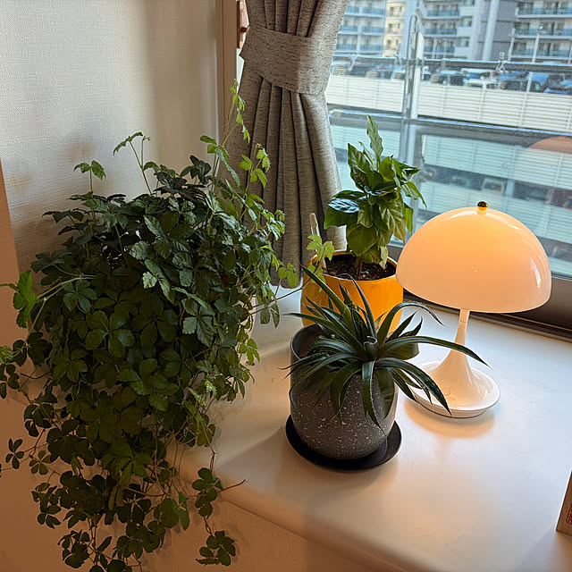 kimkimさんの部屋