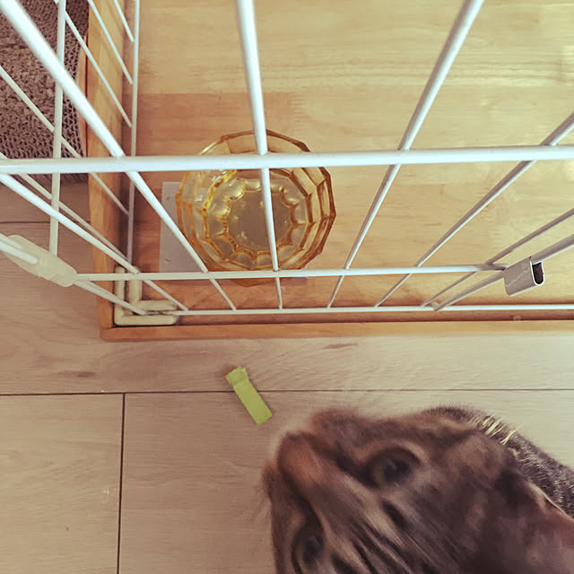 Mさんの実例写真