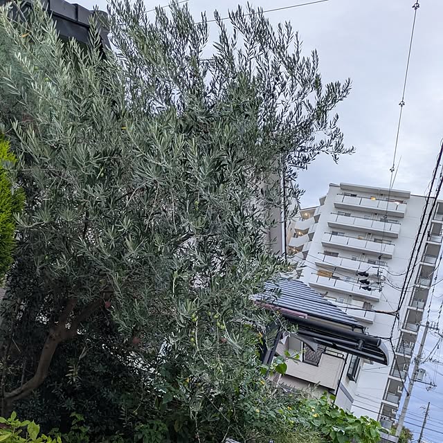 mori_6_12さんの部屋