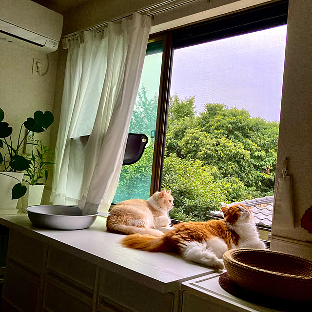 H.Tさんの実例写真