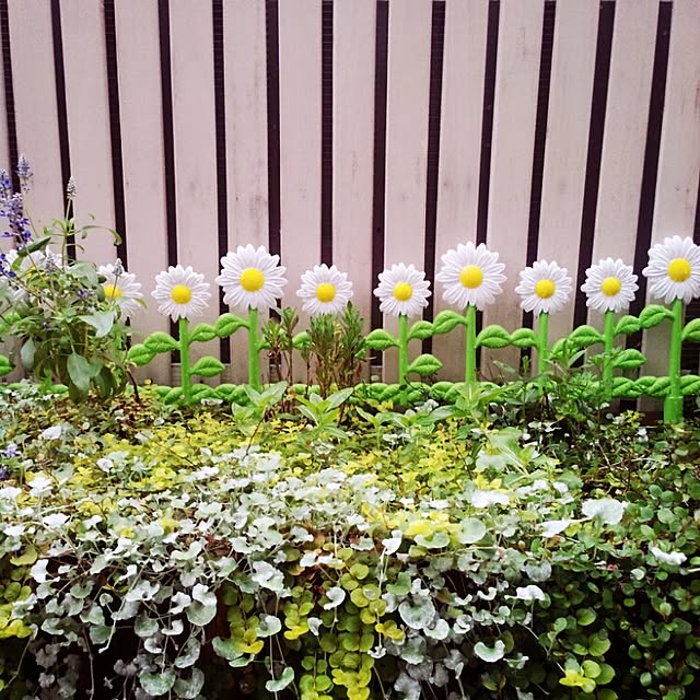momoiroさんの実例写真