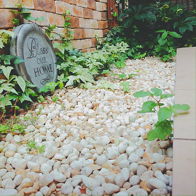 risaさんの実例写真