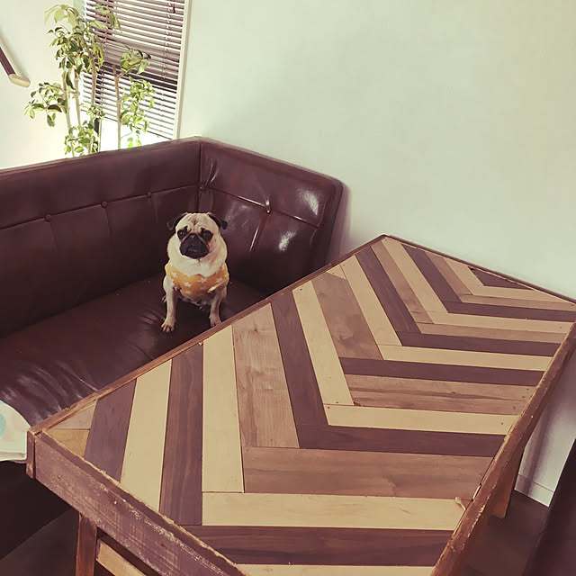 amepuliさんの実例写真