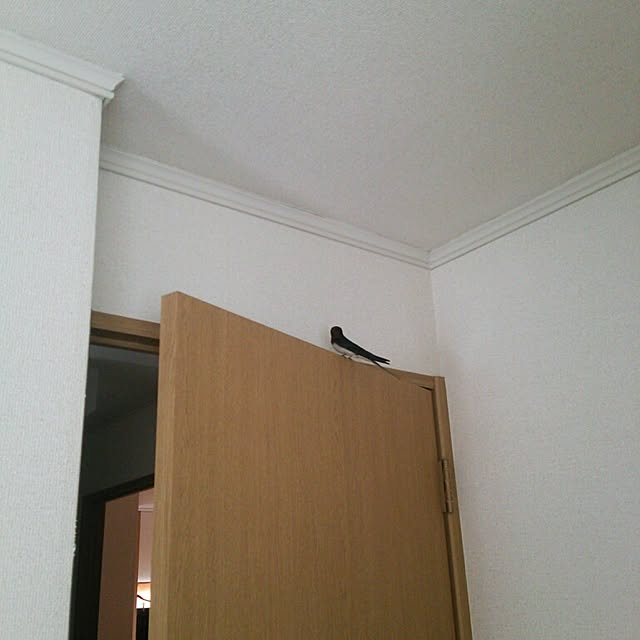キッチンのインテリア実例 - 2014-05-06 16:25:05