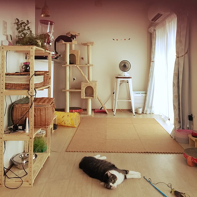 miruさんの実例写真