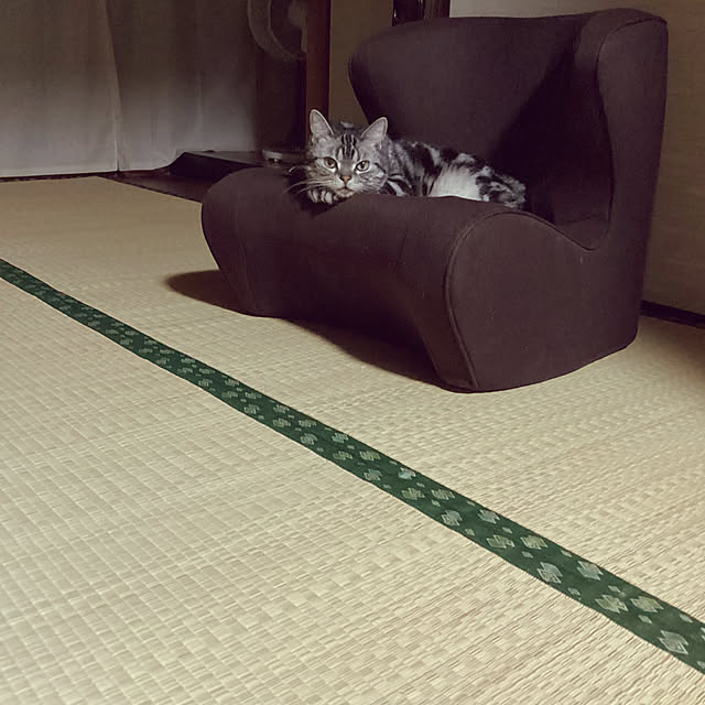 richanさんの実例写真