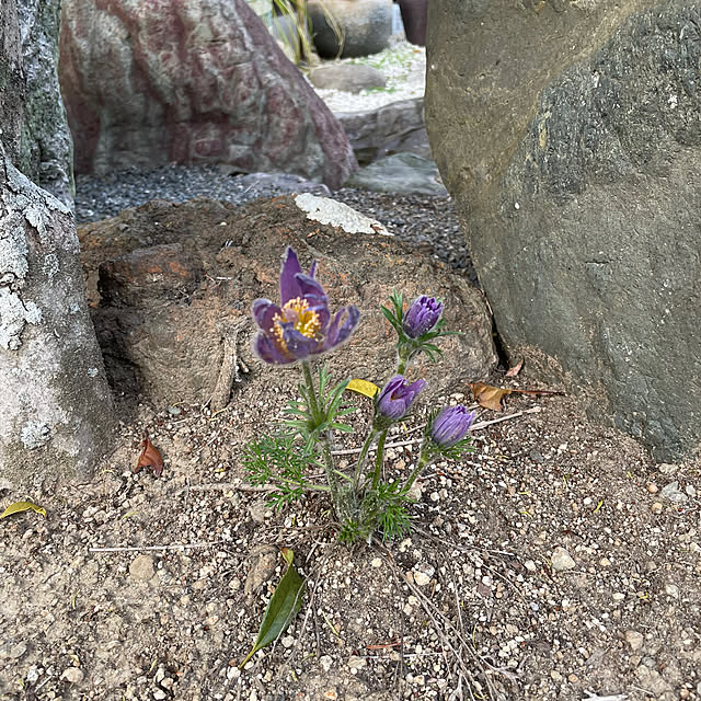 shin0719さんの部屋