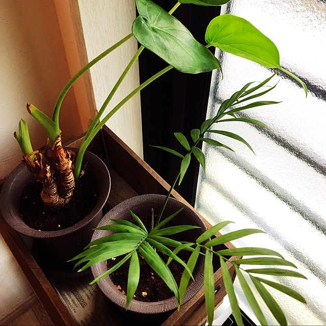 kinakoさんの実例写真
