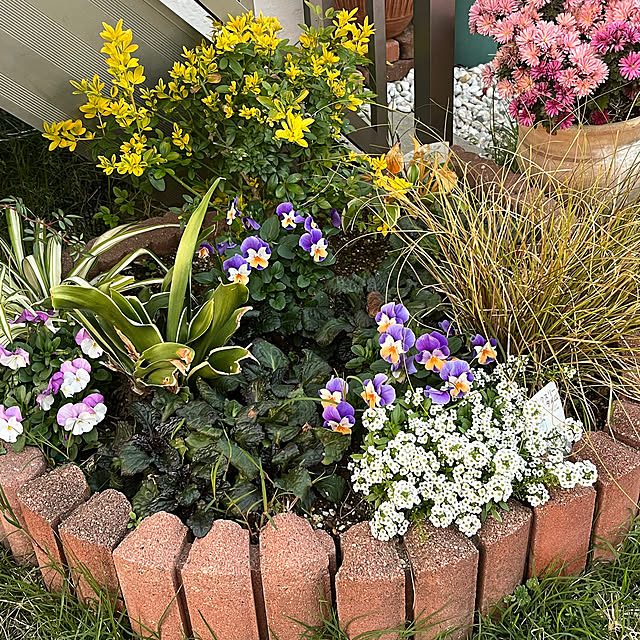 makigonさんの部屋