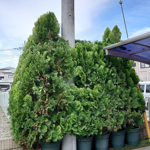 noguriさんの部屋