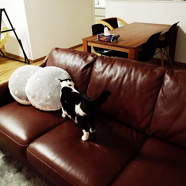 nekoさんの実例写真