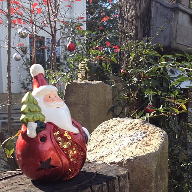 Q-Mさんの実例写真