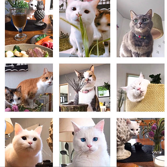 nyanko-beamさんの実例写真