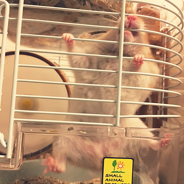 ohanaさんの実例写真