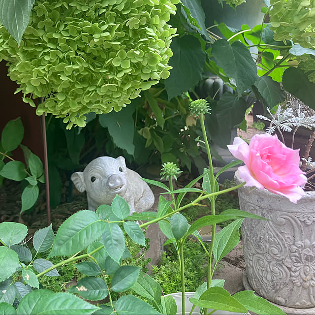 tinkunさんの部屋