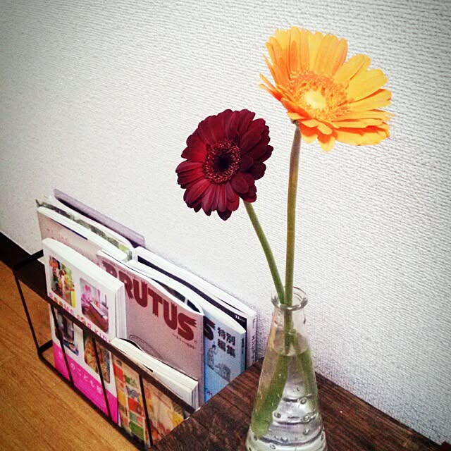 minaさんの実例写真
