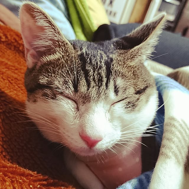 kiraさんの実例写真