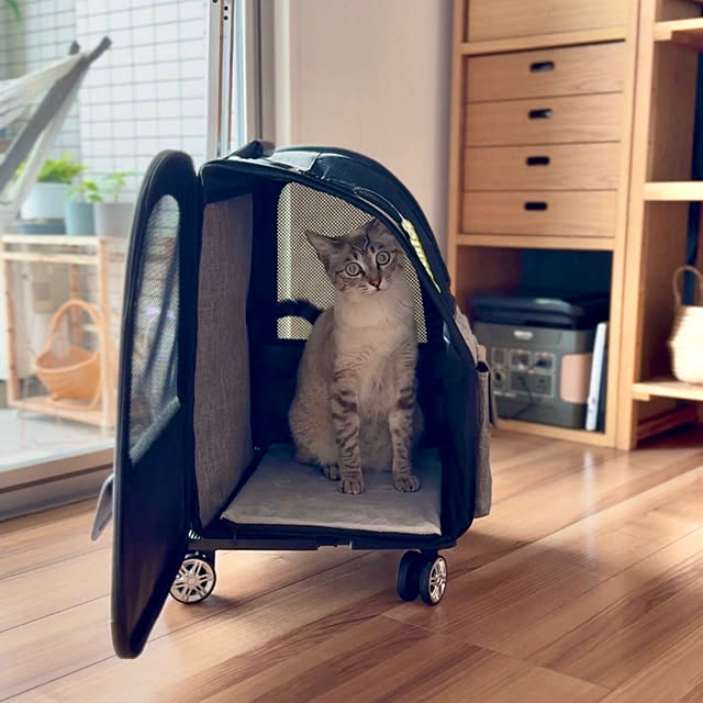 amさんの部屋