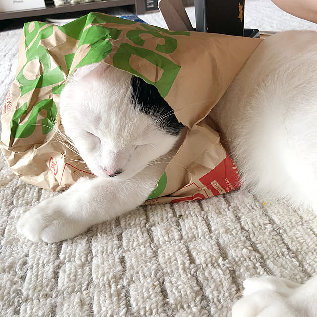 aym0418さんの実例写真