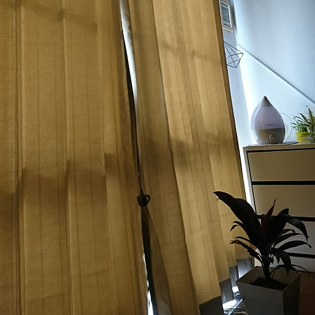 Noriさんの実例写真