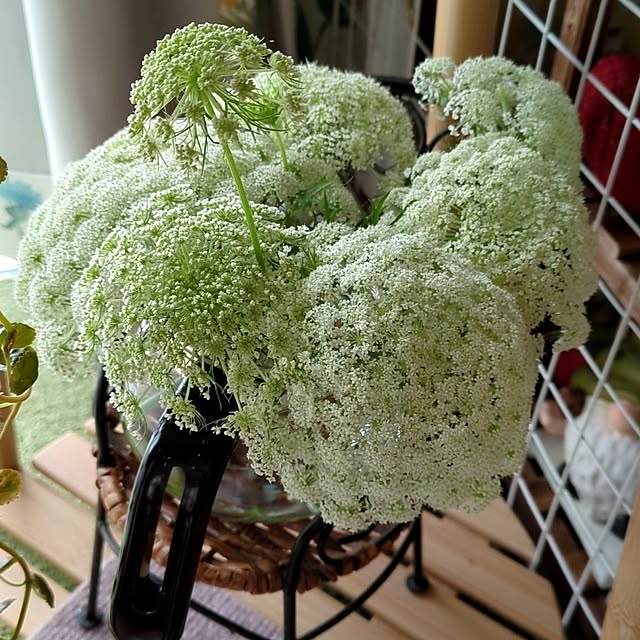 quanshanxia037さんの部屋