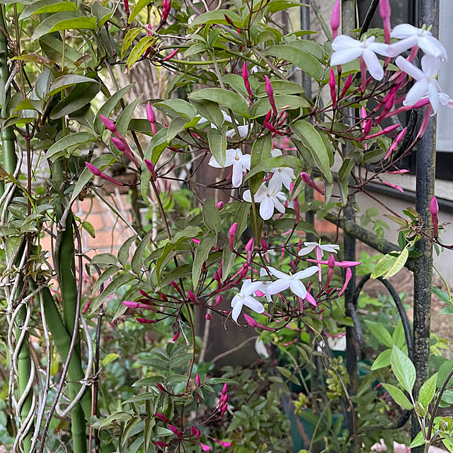 natsumiさんの部屋