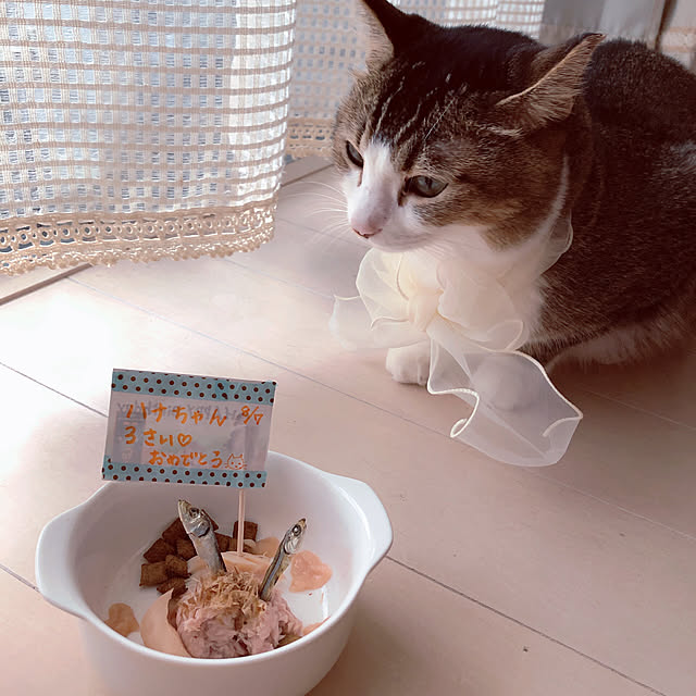 nekomiさんの実例写真