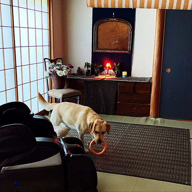 cherryさんの実例写真