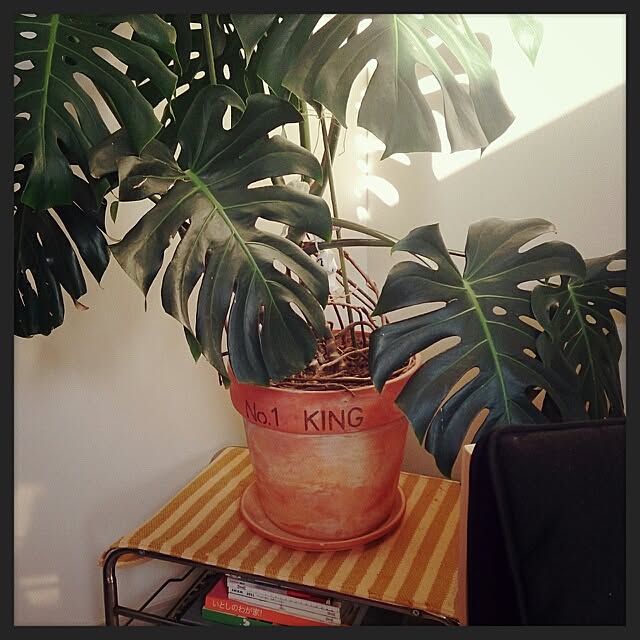 urchinさんの実例写真