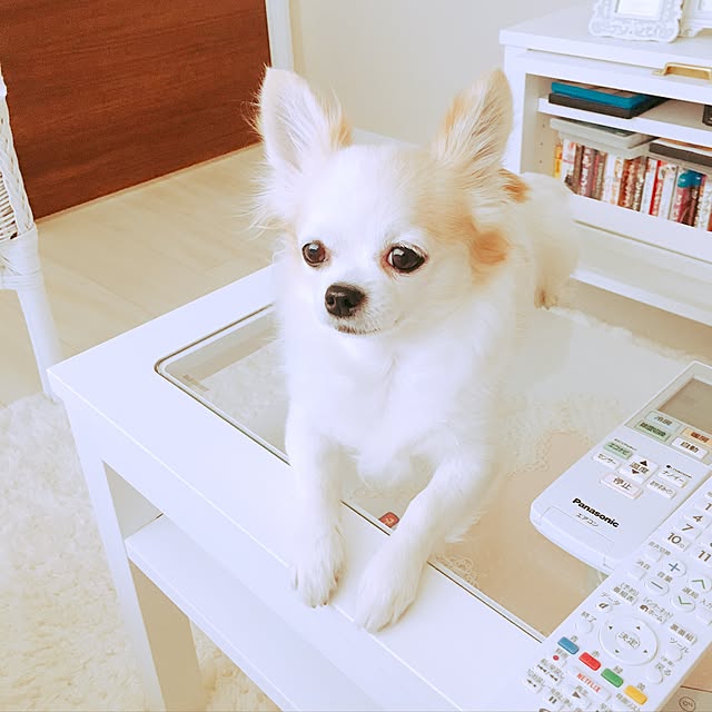 anchovyさんの実例写真