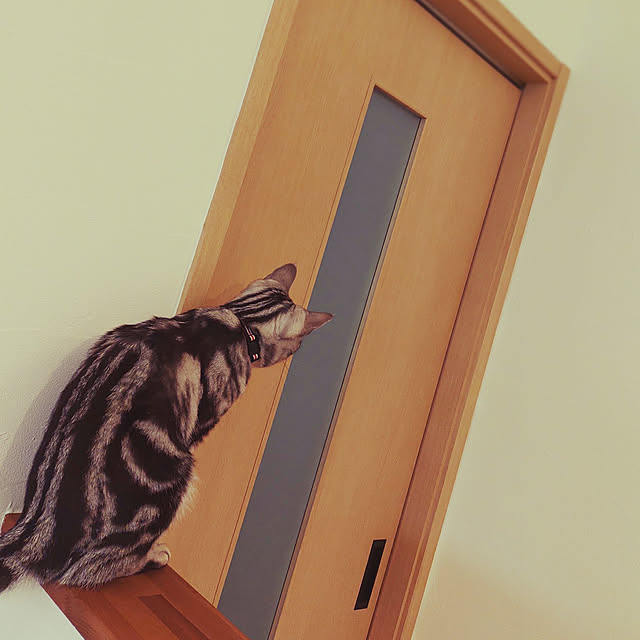 wahahaさんの実例写真