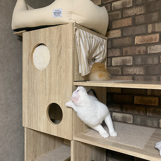 keiさんの部屋